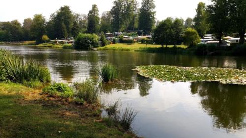 Baden See Natur Teich