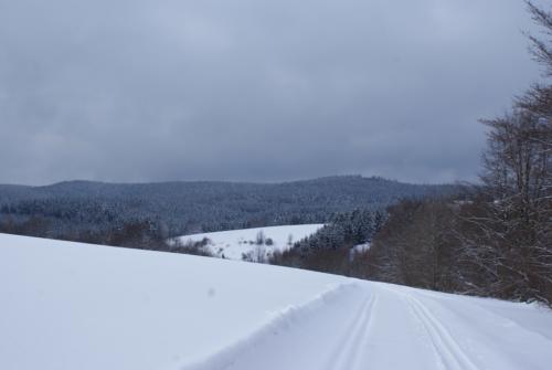 Winter HarzWintersport Schnee Wandern Schlitten Ski Langlauf Abfahrt Snowboard Liftanlagen Tofthaus Braunlage Wernigerode
